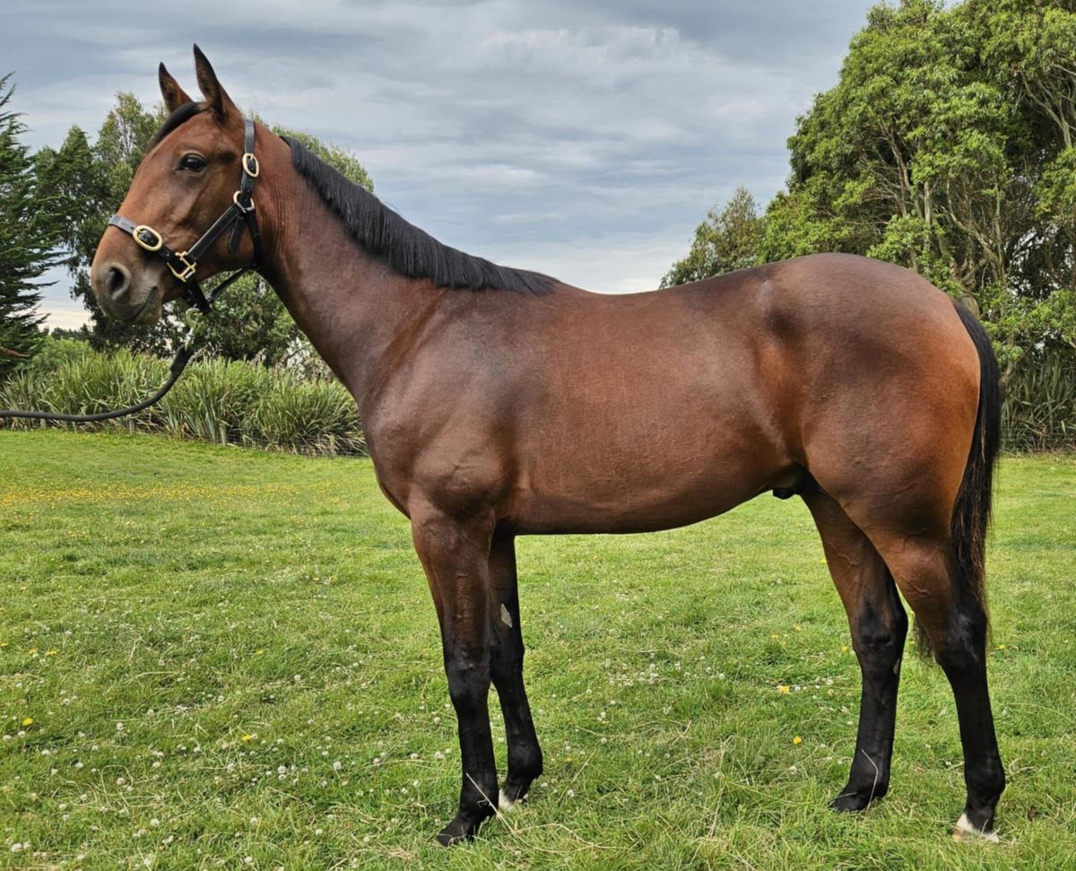 Daly new member of SBSR 2