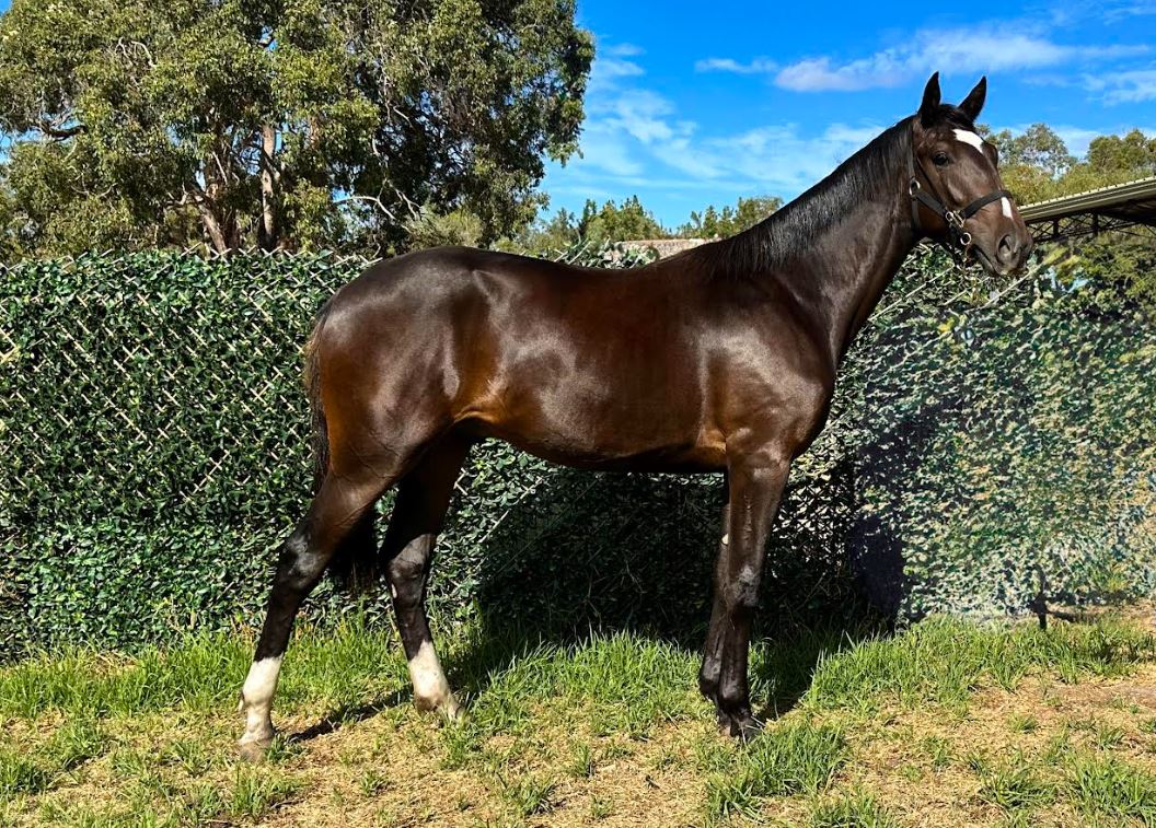 The Capararo legacy lives on 1