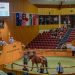 Final results tally for 2025 Yearling Sale