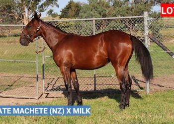 Frank O’Sullivan’s formula for success