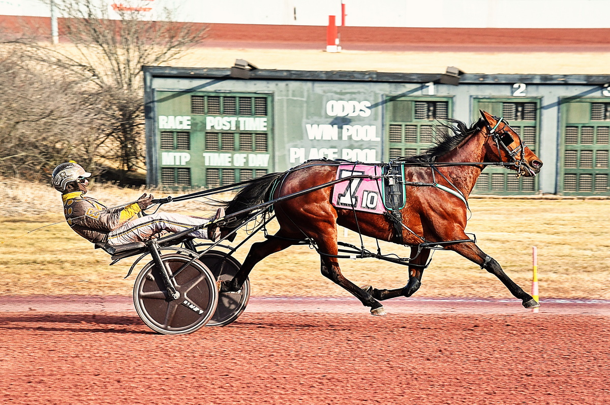 Schadel drives win 2000 on opening day 3