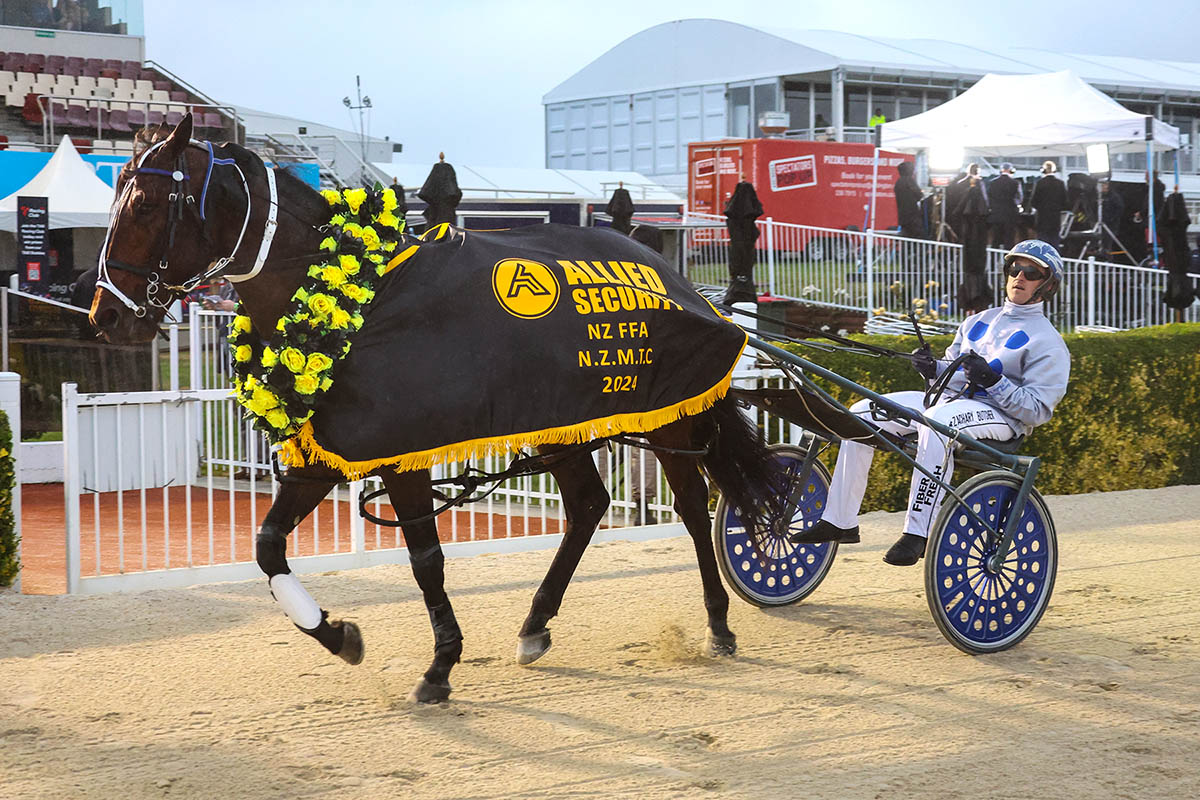 New Zealand Harness Awards Magic Night for Andersons