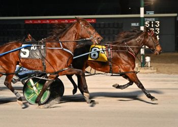 Ex Kiwi mare wins third straight at Bally’s Dover