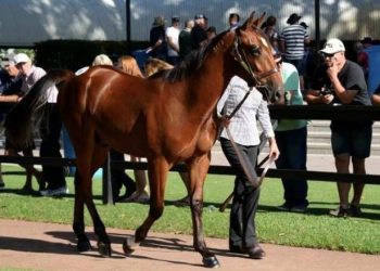 Day humble about his amazing track record