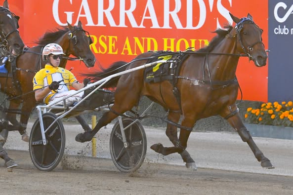 Max Delight whips his younger rivals 1