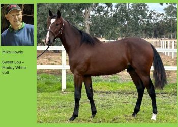 Howie took a risk, bought a gem