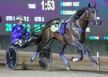 Oscar Bonavena cruises to Menangle win
