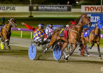 De Campo’s classic drive the winning factor