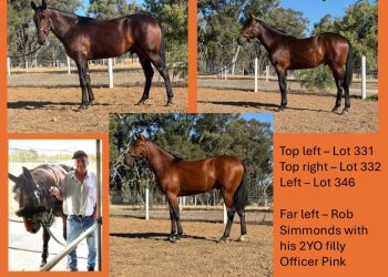 Trio of Captains for Simmonds