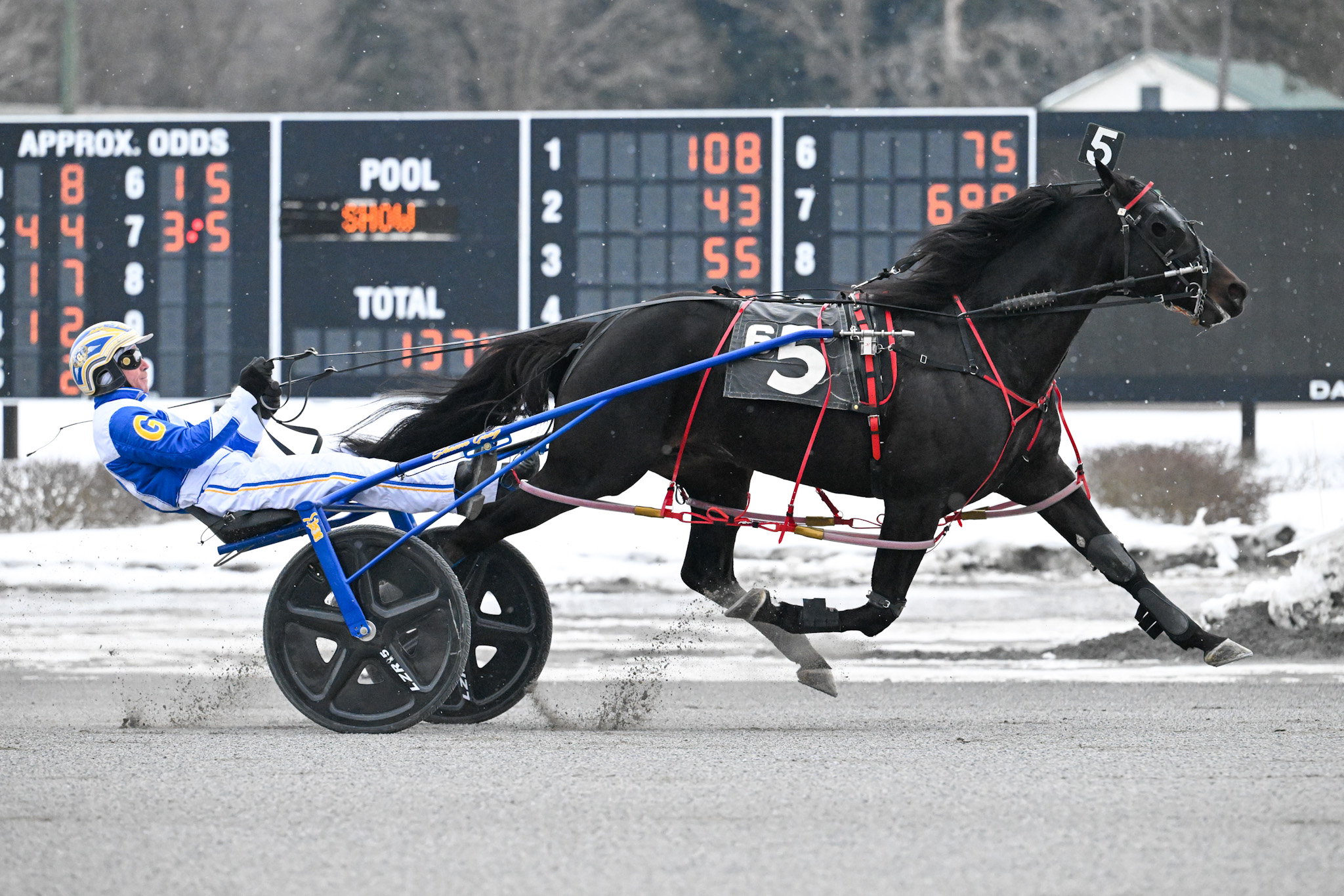 The Good Doctor impresses at Saratoga