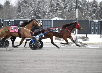 McAssey snags second straight Open