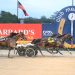 Wasa Heat Seeker scorches in impressive win 2 Wasa Heat Seeker scorches in impressive win