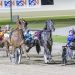 Two paths emerge after Menangle Great Southern Star trial 1 Watts Up Partytime snatches win in Great Southern Star Final