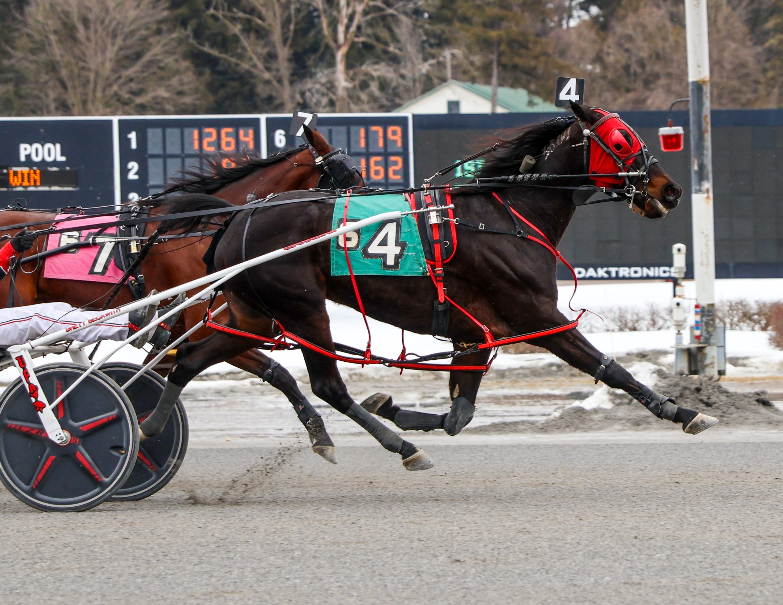 Veteran mare completes triple for McAssey 1