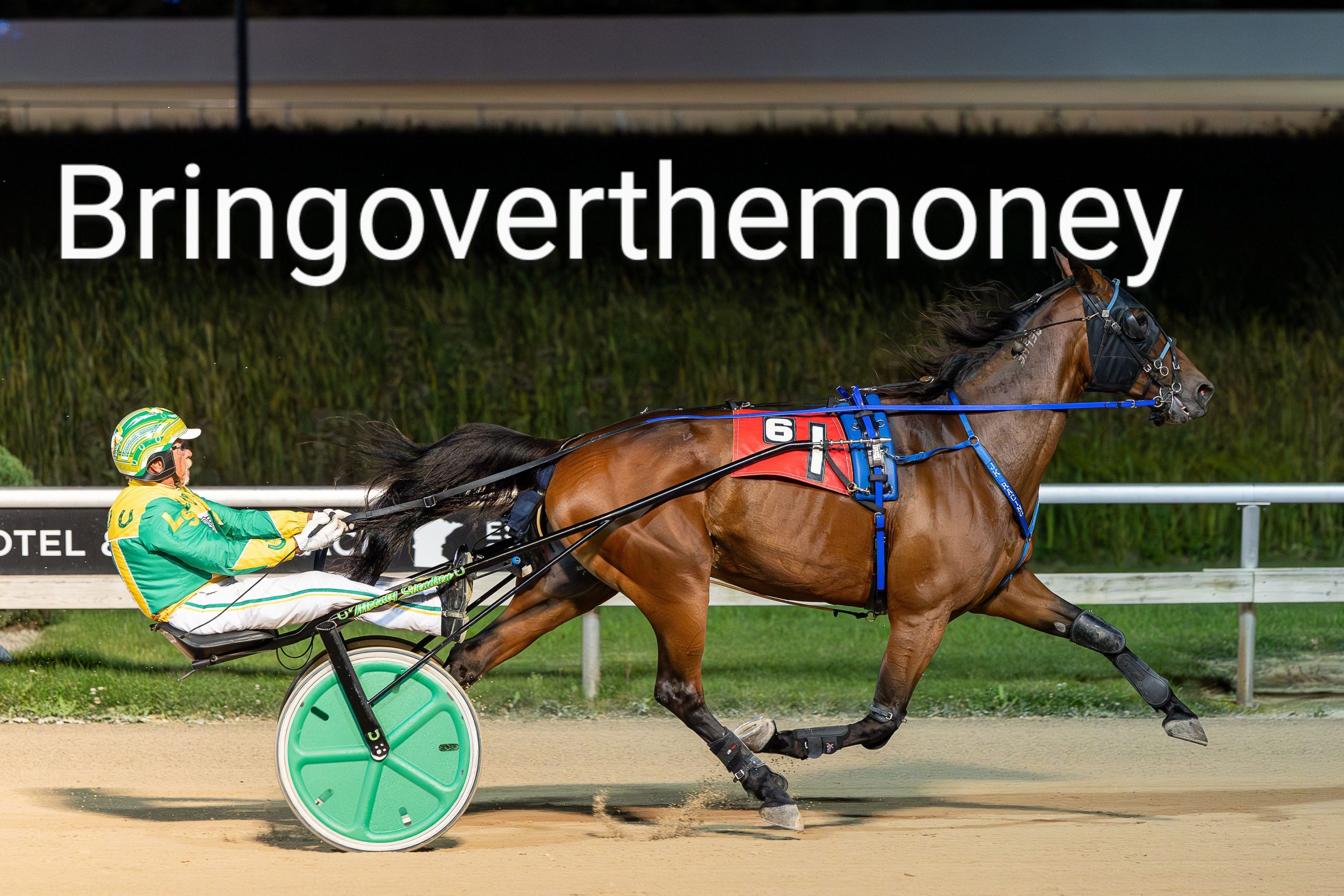 Bringoverthemoney, No Recess, Towner's Love Dove to MHRI HOF 1