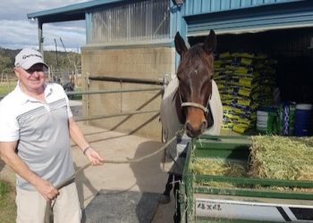 Pats first filly still gives him thrills