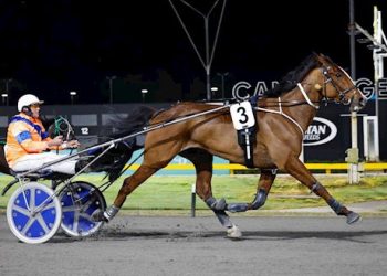 New mixed sale online now