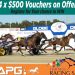 HRSA offers exclusive vouchers for APG Yearling Sale 2 HRSA offers exclusive vouchers for APG Yearling Sale