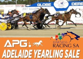 A feast on offer in Adelaide this weekend 