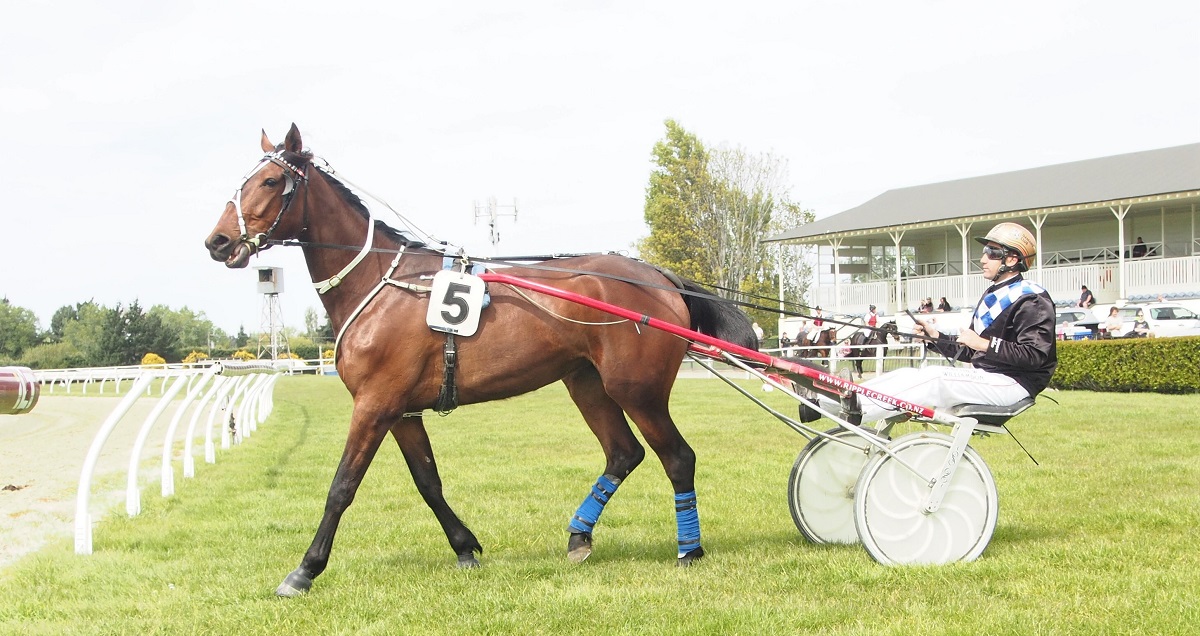Otago Harness Awards 5