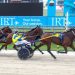 Bet N Win confirmed for $650,000 TAB Trot