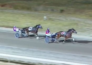 Ainsworths snare trifecta in trotters handicap