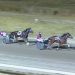 Ainsworths snare trifecta in trotters handicap