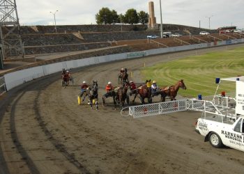 Redemption for Broken Hill trots after St Pat’s blow