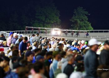 Will a harness racing filly ever win the North America Cup?