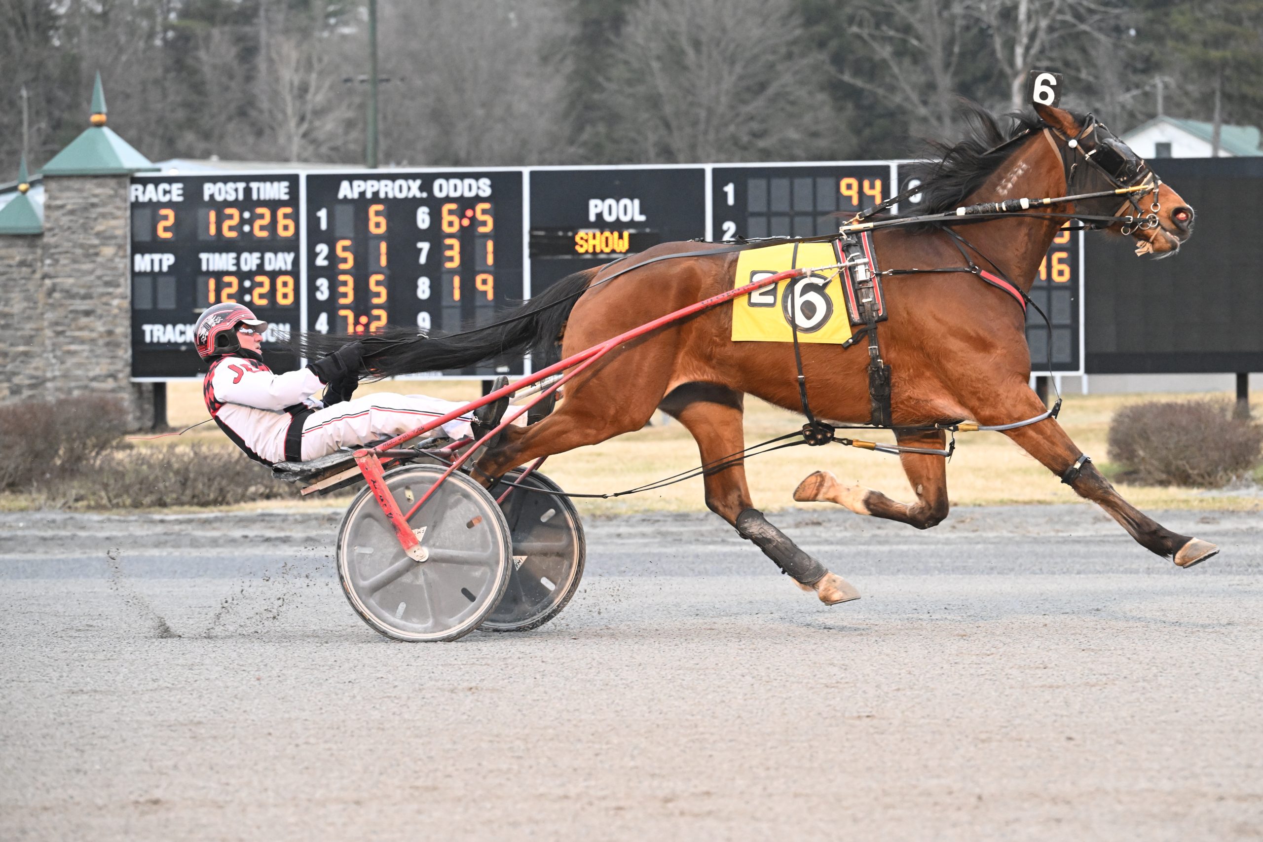 Veteran trotter eclipses half million in earnings