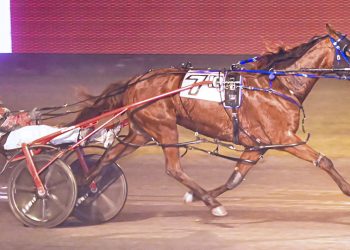 RELEASE: Phoenix Rising back atop Rosecroft distaffers