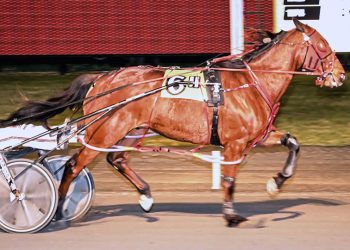 Don’tmesswithles reels in favorite to win