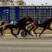 Truro Harness Horse Owners Association presents annual awards