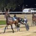 Harold Smith’s convincing McNamara Trotters Cup win. 2 Harold Smith’s convincing McNamara Trotters Cup win.