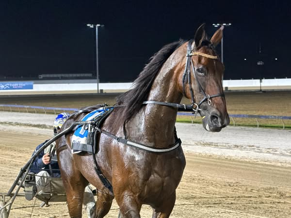 Harold Smith’s convincing McNamara Trotters Cup win. 2