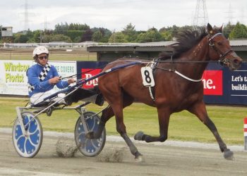 Utah Jazz heads Williamson line up at Ascot Park