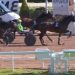 Hooper des Chasses wins in Cagnes