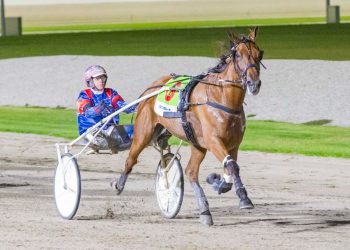 Weekly spotlight on breeding