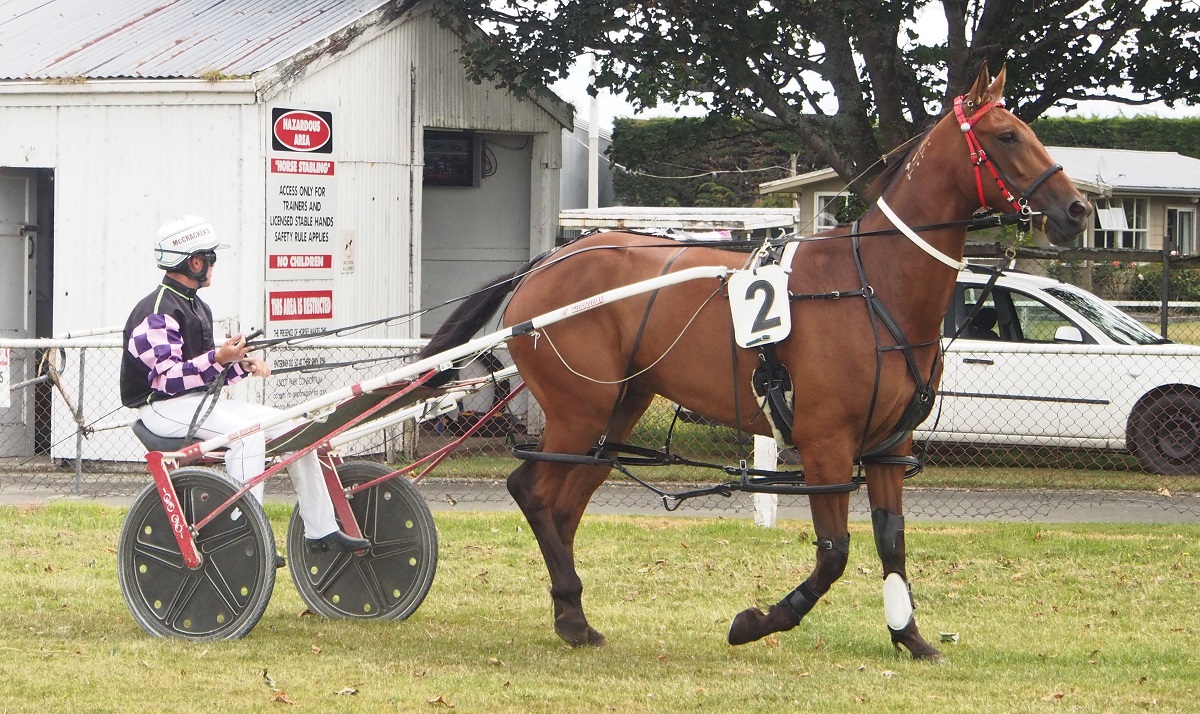 Douglas takes three good chances to Northern Southland tomorrow 2