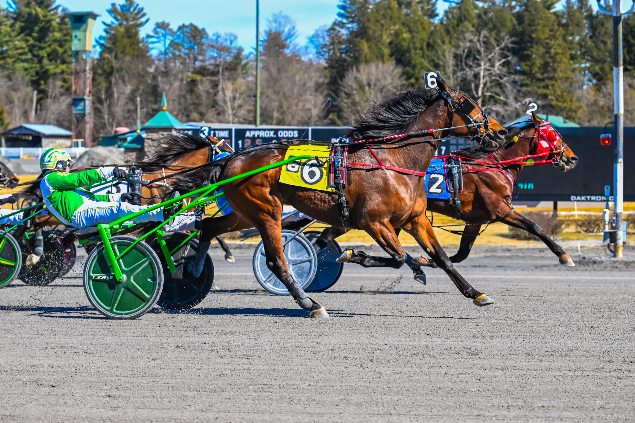 Mon Amour prevails in Open Trot