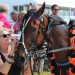 Nina Hope breaks training record with Rangiora win