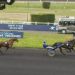 Groupe Action at Vincennes is top flight 2 Groupe Action at Vincennes is top flight