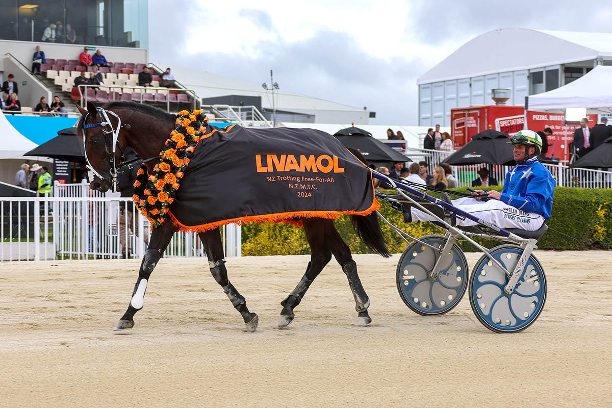 Nathan Purdon talks north and south 3