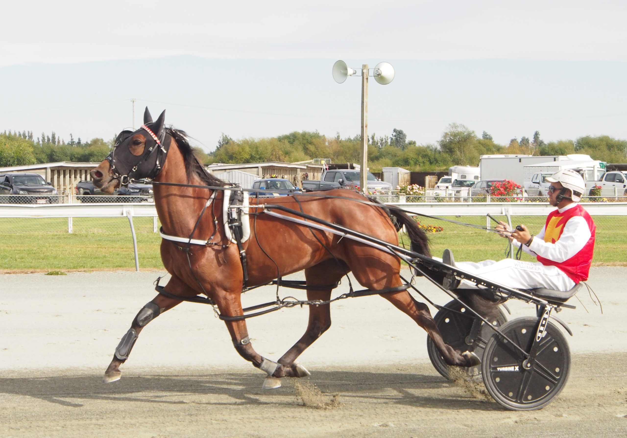 Douglas takes three good chances to Northern Southland tomorrow 1