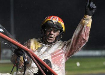 Ciavardini cashes in NAADA Trot