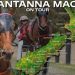 Santanna Mach’s unusual and remarkable racing record
