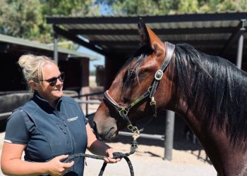 Stringer has faith in the Tapu Family 