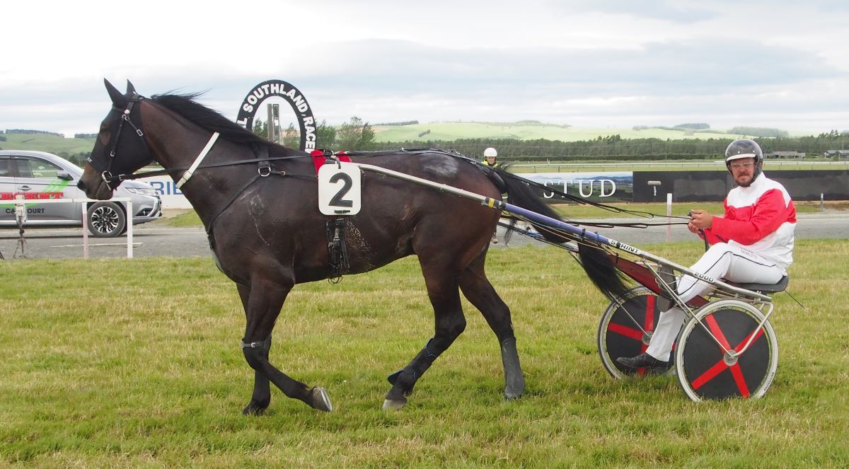 Twilight harness meeting at Ascot Park