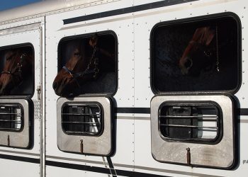 Impending Canada/US tarriffs will impact harness racing