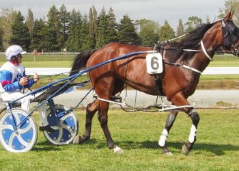 Wag Star returns to winning form in Wyndham Cup